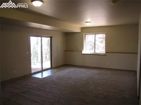 4047 Omer Ln, Divide, CO 80814 photo 5
