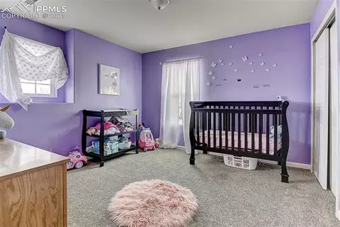 7602 Capel Pt, Peyton, CO 80831 photo 11