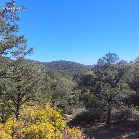 468 Rye Whiskey Trl, Canon City, CO 81212