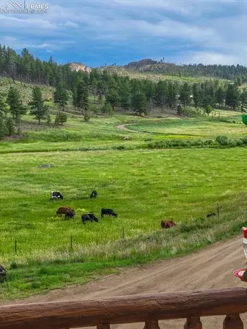 35750 County Road 77, Lake George, CO 80827