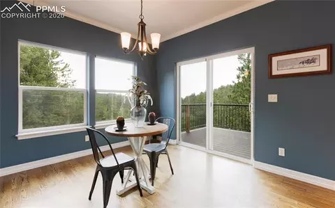 187 Eagle Dr, Divide, CO 80814 photo 15