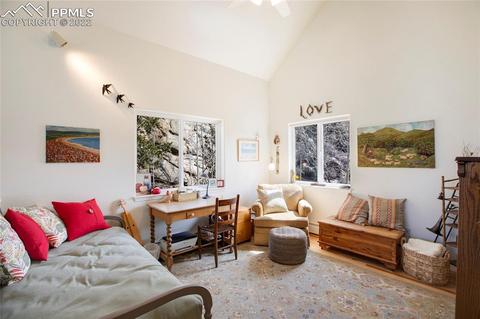 482 Highroad Dr, Divide, CO 80814 photo 20