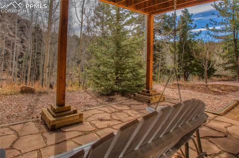482 Highroad Dr, Divide, CO 80814 photo 35