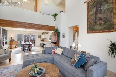 482 Highroad Dr, Divide, CO 80814 photo 6