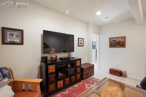 482 Highroad Dr, Divide, CO 80814 photo 26