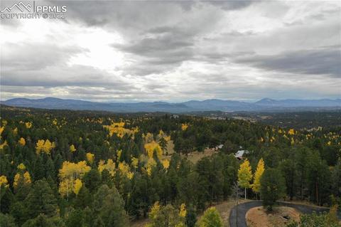 482 Highroad Dr, Divide, CO 80814 photo 41