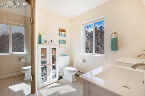 482 Highroad Dr, Divide, CO 80814 photo 19