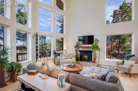 482 Highroad Dr, Divide, CO 80814 photo 3