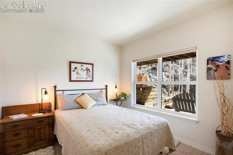 482 Highroad Dr, Divide, CO 80814 photo 23