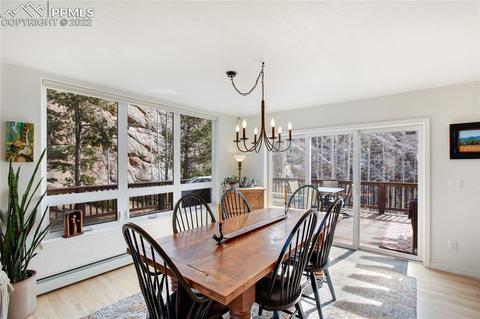 482 Highroad Dr, Divide, CO 80814 photo 12