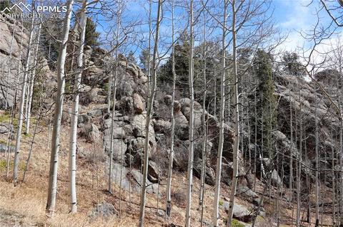 482 Highroad Dr, Divide, CO 80814 photo 39