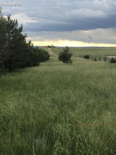 13115 Log Rd, Peyton, CO 80831 photo 37
