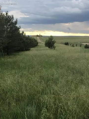 13115 Log Rd, Peyton, CO 80831 photo 4