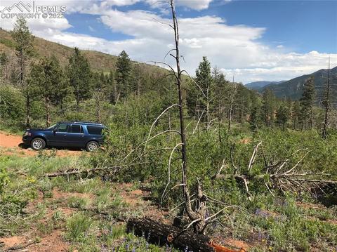 4201 Pyramid Mountain Rd, Cascade, CO 80809 photo 9