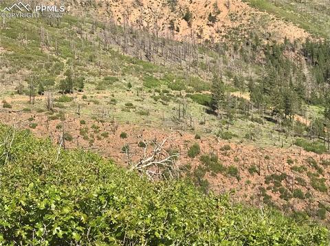 4201 Pyramid Mountain Rd, Cascade, CO 80809 photo 32