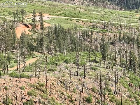 4201 Pyramid Mountain Rd, Cascade, CO 80809 photo 14