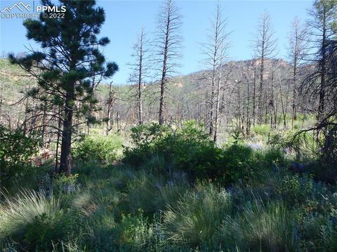4201 Pyramid Mountain Rd, Cascade, CO 80809 photo 23