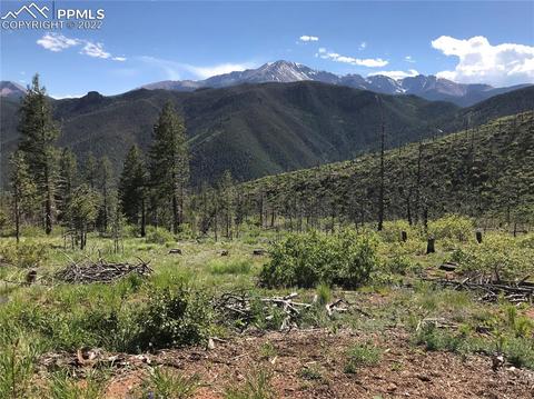 4201 Pyramid Mountain Rd, Cascade, CO 80809 photo 24