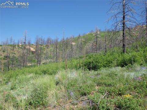 4201 Pyramid Mountain Rd, Cascade, CO 80809 photo 35