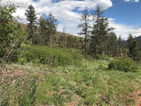 4201 Pyramid Mountain Rd, Cascade, CO 80809 photo 2