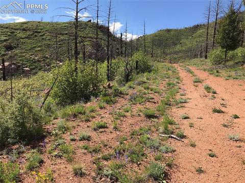 4201 Pyramid Mountain Rd, Cascade, CO 80809 photo 29