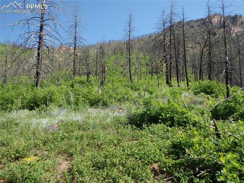4201 Pyramid Mountain Rd, Cascade, CO 80809 photo 36