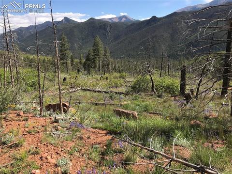 4201 Pyramid Mountain Rd, Cascade, CO 80809 photo 30