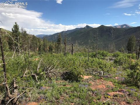 4201 Pyramid Mountain Rd, Cascade, CO 80809 photo 8