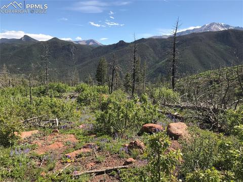 4201 Pyramid Mountain Rd, Cascade, CO 80809 photo 7