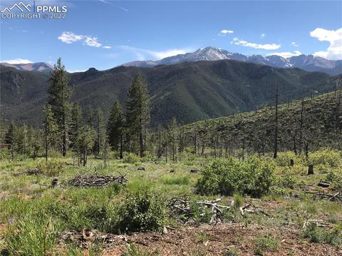 4201 Pyramid Mountain Rd, Cascade, CO 80809 photo 26