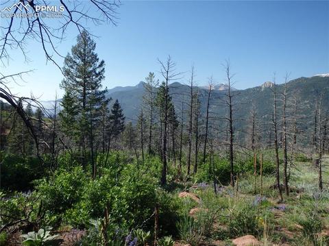 4201 Pyramid Mountain Rd, Cascade, CO 80809 photo 19