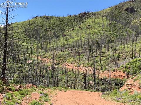 4201 Pyramid Mountain Rd, Cascade, CO 80809 photo 33