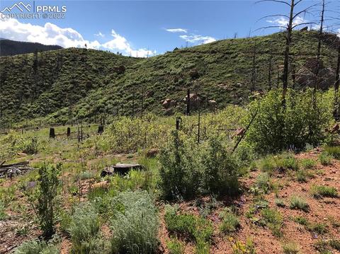 4201 Pyramid Mountain Rd, Cascade, CO 80809 photo 28