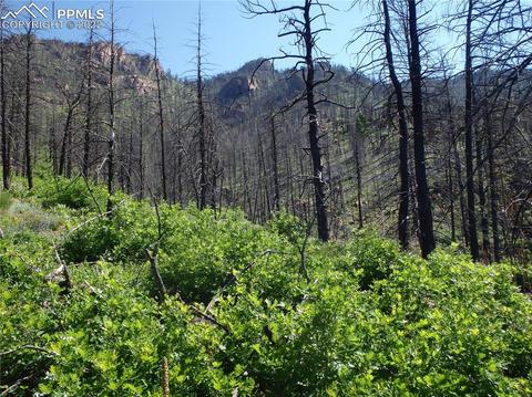 4201 Pyramid Mountain Rd, Cascade, CO 80809 photo 37