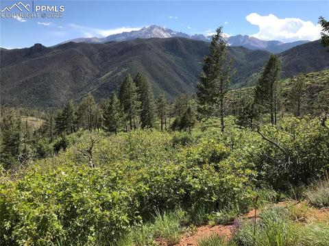 4201 Pyramid Mountain Rd, Cascade, CO 80809 photo 10