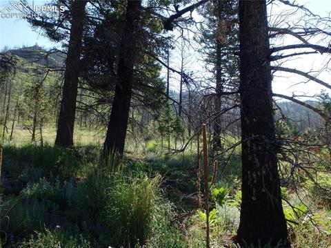 4201 Pyramid Mountain Rd, Cascade, CO 80809 photo 11