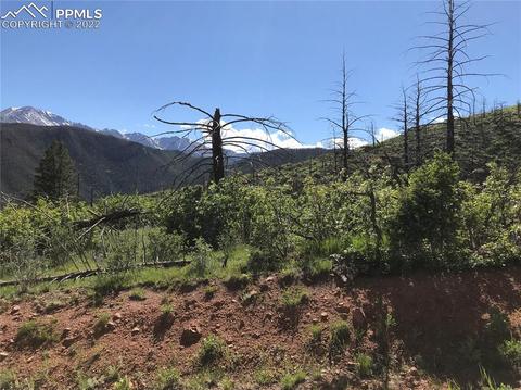 4201 Pyramid Mountain Rd, Cascade, CO 80809 photo 5