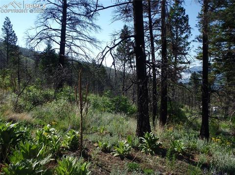 4201 Pyramid Mountain Rd, Cascade, CO 80809 photo 22