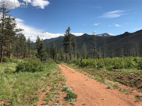 4201 Pyramid Mountain Rd, Cascade, CO 80809 photo 3