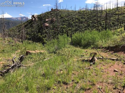 4201 Pyramid Mountain Rd, Cascade, CO 80809 photo 39
