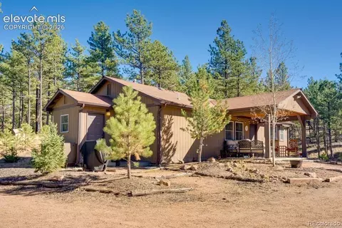 1110 Pikes Peak Dr, Florissant, CO 80816