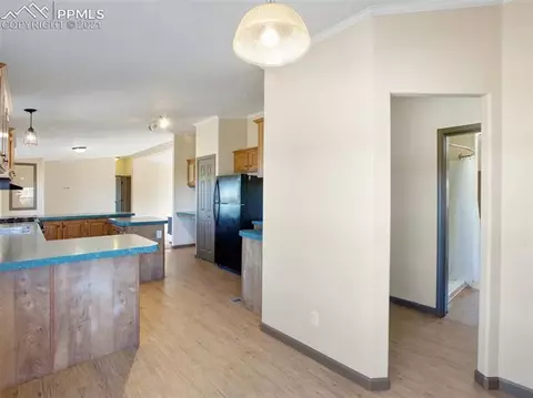 80 Elfin Glen Dr, Divide, CO 80814 photo 12