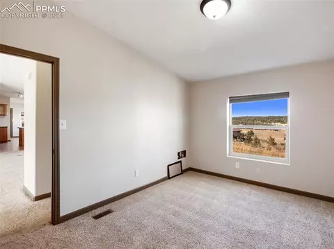 80 Elfin Glen Dr, Divide, CO 80814 photo 21