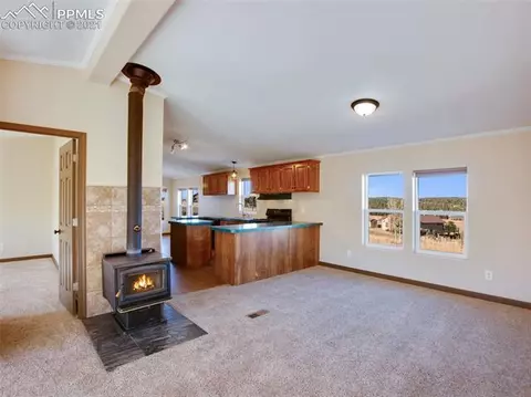 80 Elfin Glen Dr, Divide, CO 80814 photo 7