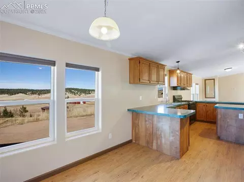 80 Elfin Glen Dr, Divide, CO 80814 photo 13