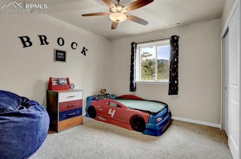 8420 Bear Dance Hts, Cascade, CO 80809 photo 19