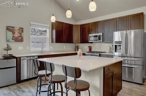 8420 Bear Dance Hts, Cascade, CO 80809 photo 9