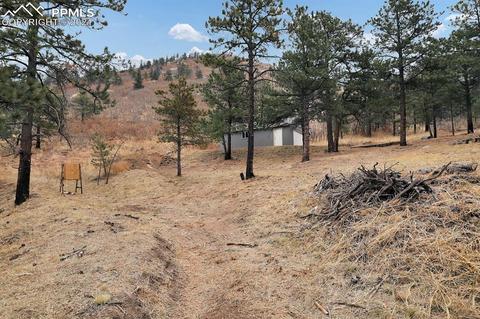 8420 Bear Dance Hts, Cascade, CO 80809 photo 35