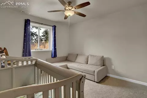 8420 Bear Dance Hts, Cascade, CO 80809 photo 21