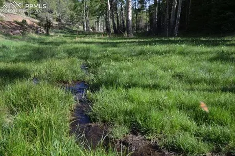 199 Running Elk Pt, Divide, CO 80814 photo 32
